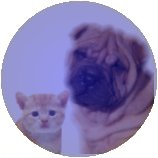 Z'animaux